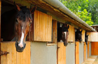 free Gaerllwyd stable construction quotes